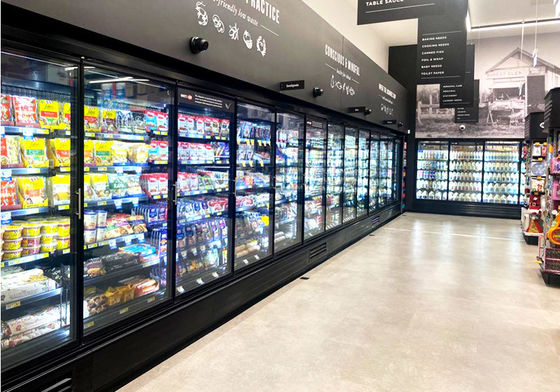 Süpermarket Dik Cam Kapı Dondurucu Cam Kapı Soğutucu Bağımsız 3/4/5/6 Kapılar