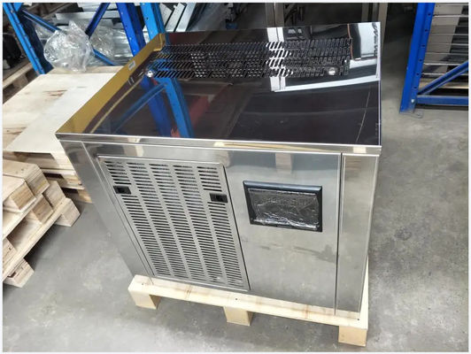 Sk-033 Ticari Yaprak Buz Makinesi Büyük Miktar Düşük Güç Tüketimi Taze 300kg/24h