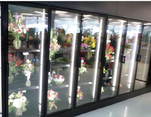 Floral Display Walk In Soğutucular cam kapı soğutucu renkli çelikte yürür